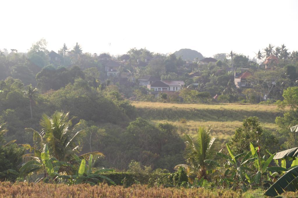 Nur Guest House By Purely Ubud Eksteriør bilde