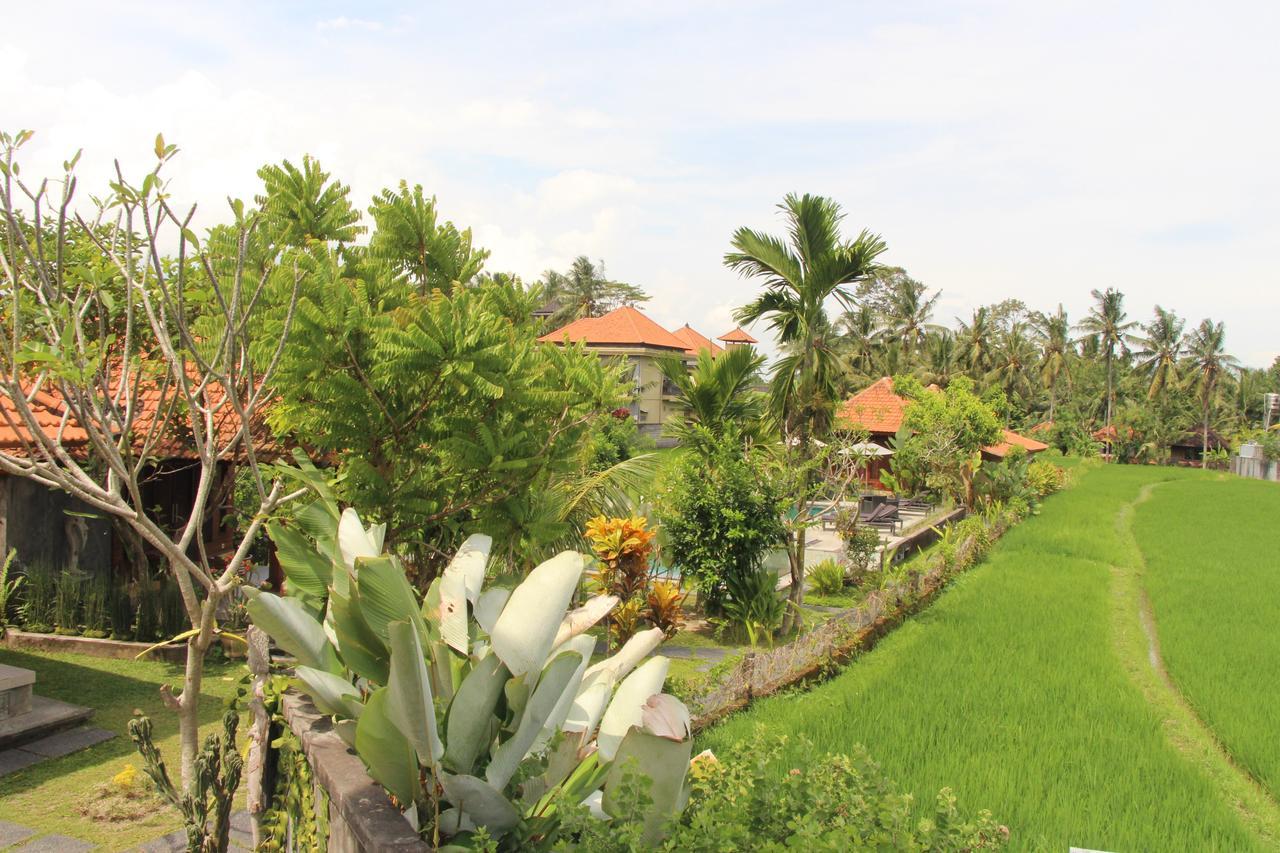 Nur Guest House By Purely Ubud Eksteriør bilde