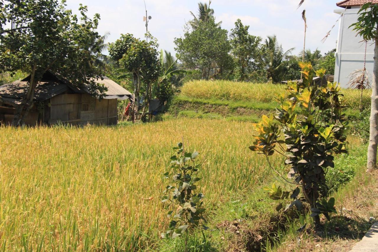 Nur Guest House By Purely Ubud Eksteriør bilde